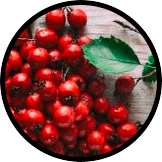 Chinese Hawthorn Berry